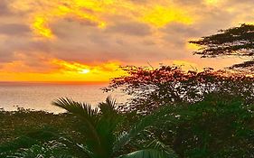 Au Lever Du Soleil Guest House Sea View
